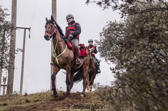 José Romera medalla de oro en el Trec** Internacional de Tordesillas